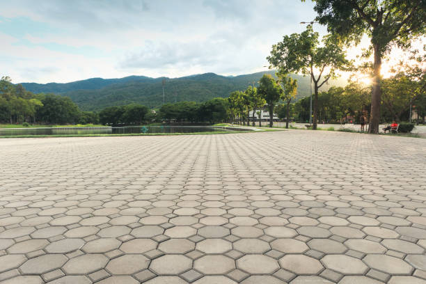 Best Cobblestone Driveway Pavers  in Palm Harbor, FL