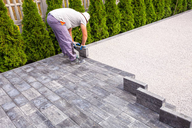 Best Driveway Pavers Contractor  in Palm Harbor, FL