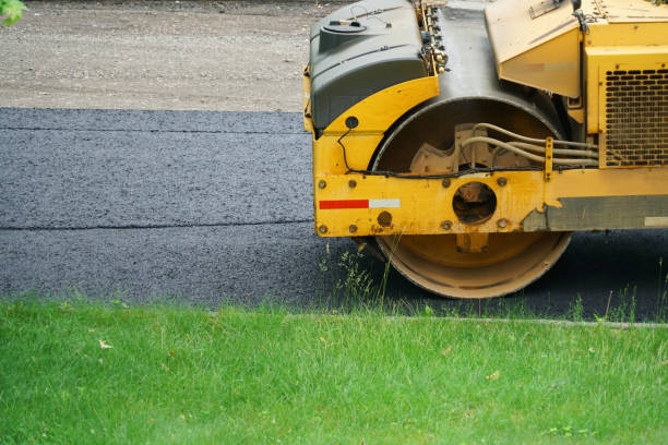 Driveway Pavers for Homes in Palm Harbor, FL