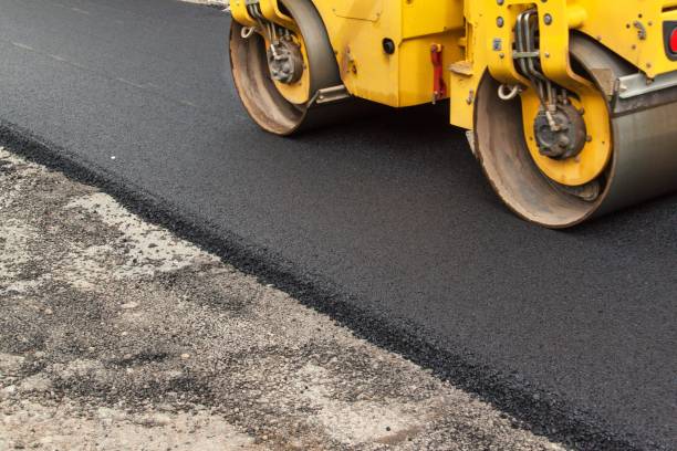 Best Local Driveway Pavers  in Palm Harbor, FL
