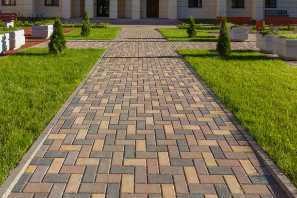 Best Permeable Paver Driveway  in Palm Harbor, FL